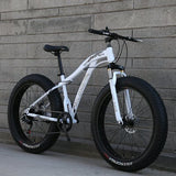 YAOSHENG Bike