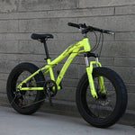 YAOSHENG Bike