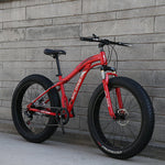 YAOSHENG Bike